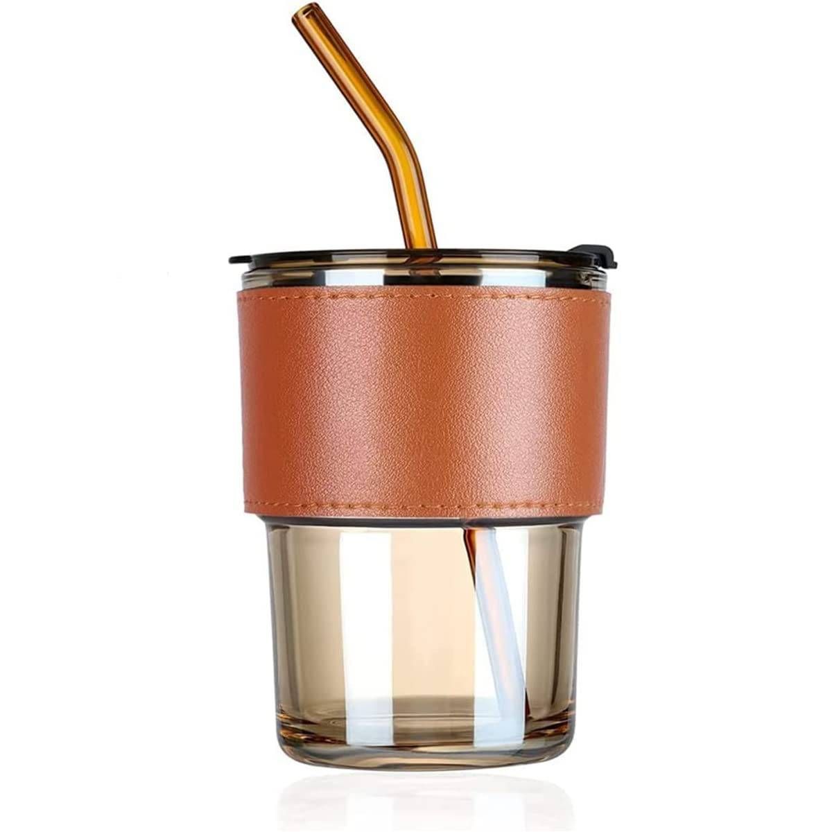 Glass Mason Jar with Heat Resistance Leather Grip Leakproof Lid & Straw (450 ml) image 1